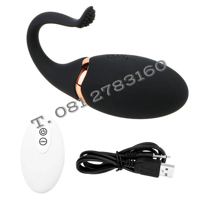 รหัส XM -141 ไข่สั่นไร้สายโลมา