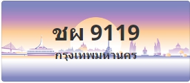 ป้ายประมูล ชผ 9119