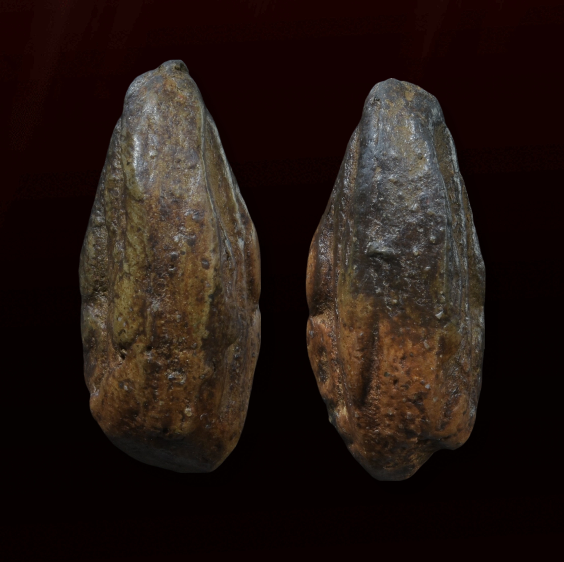 พระกรุวัดจุฬามณี พิมพ์หน้านาง หลังนาง