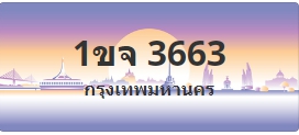 ป้ายประมูล 1ขจ 3663
