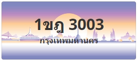 ป้ายประมูล 1ขฎ 3003