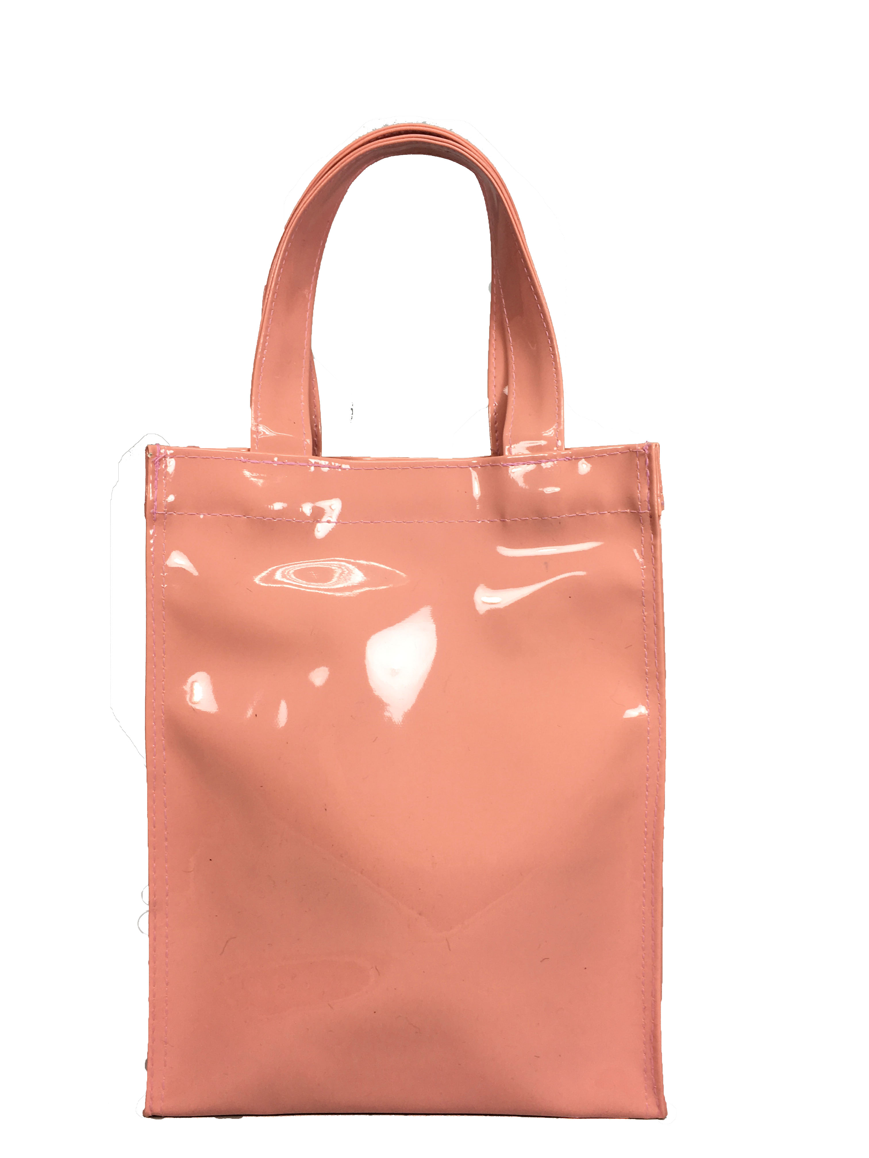 กระเป๋าเคียง