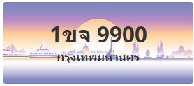 ป้ายประมูล 1ขจ 9900