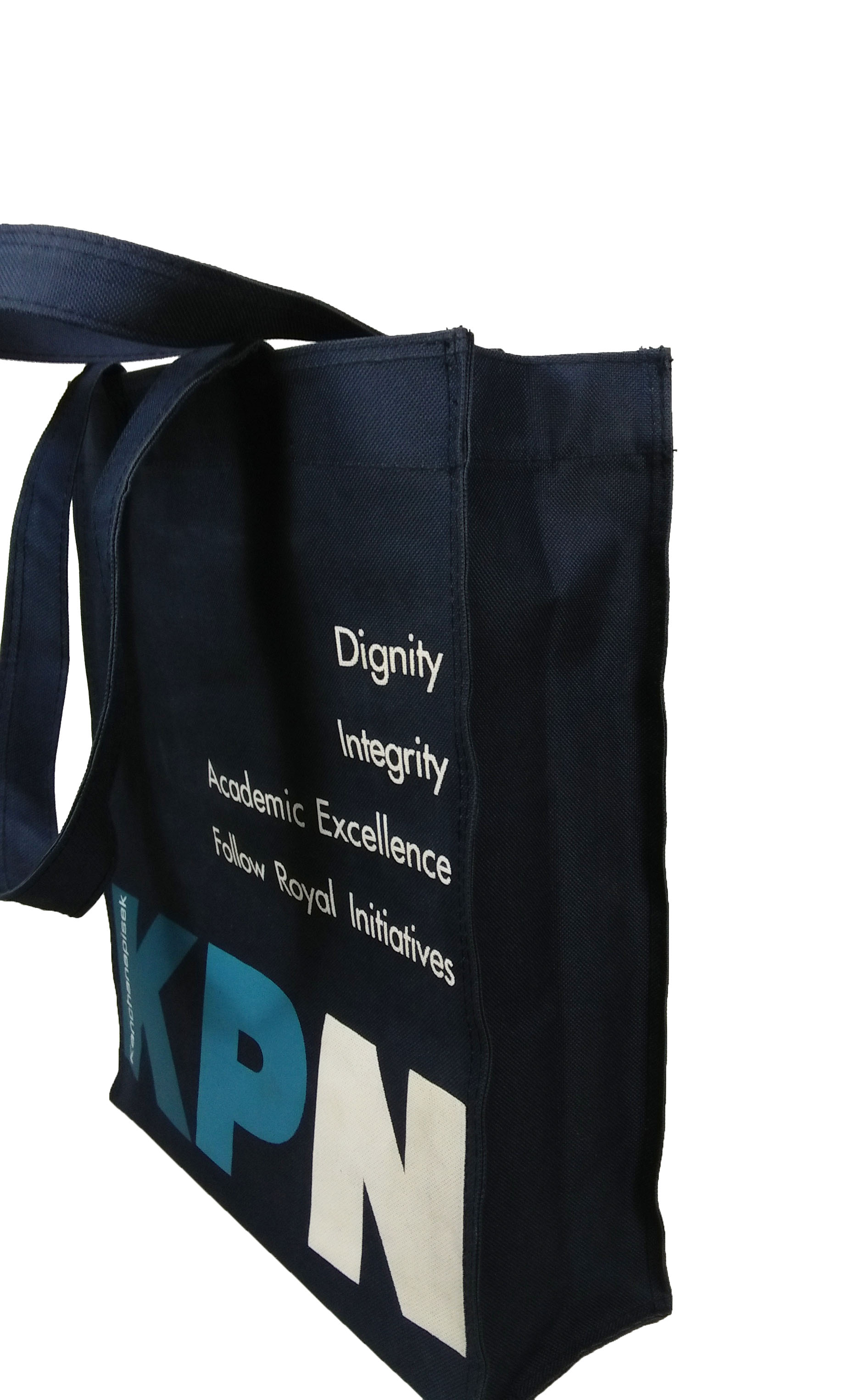 กระเป๋าเคียง