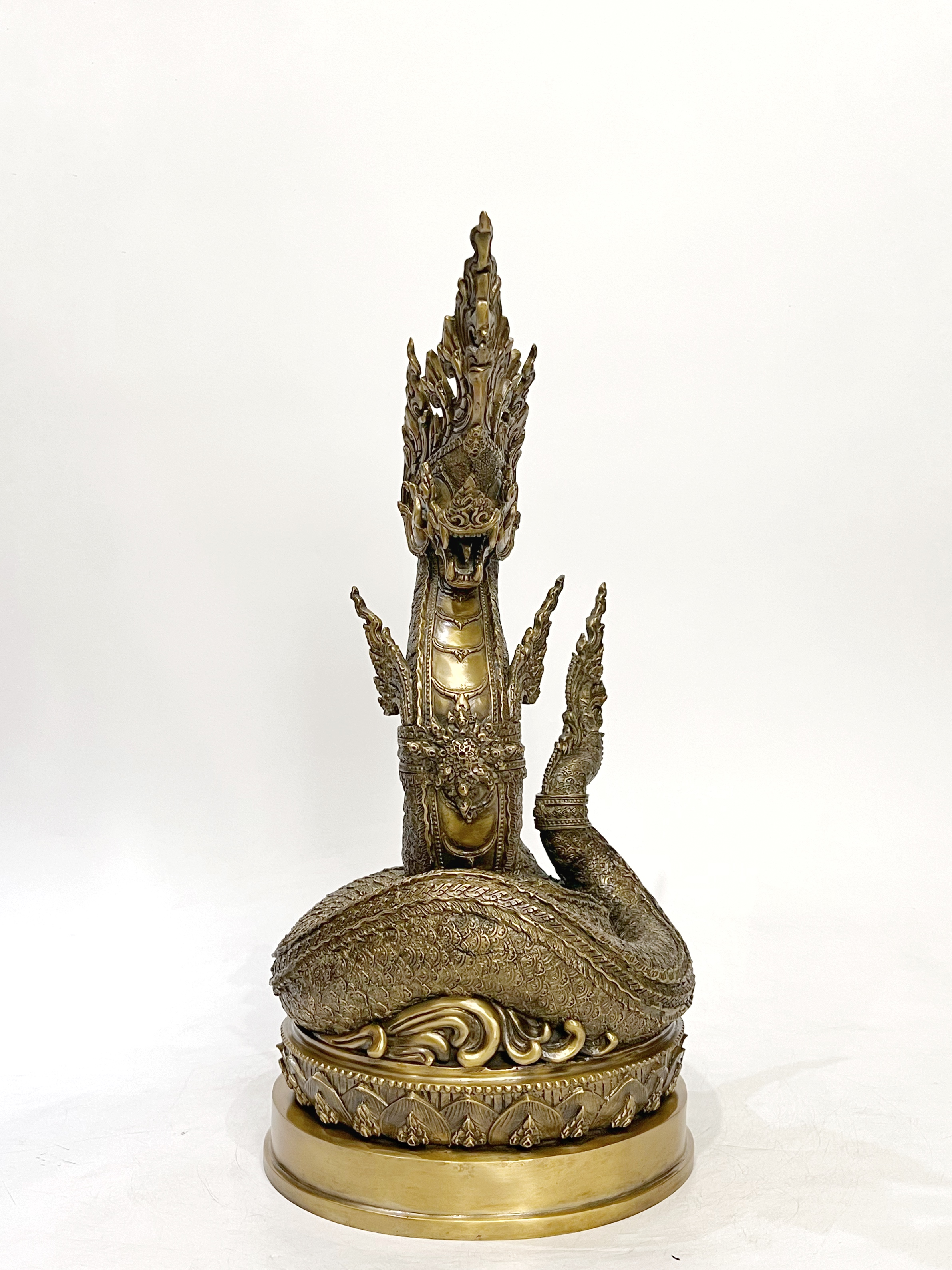 พญานาคราชทรัพย์อนันต์ พญานาค 1 เศียร