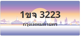 ป้ายประมูล 1ขจ 3223