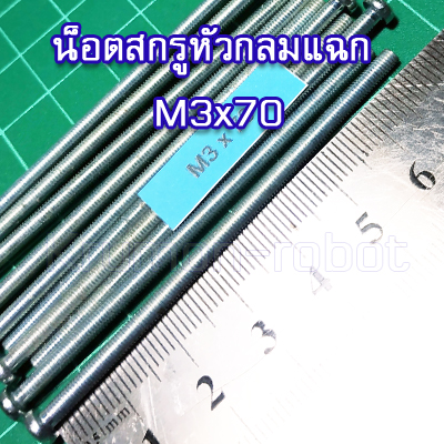 10 x น็อตสกรูหัวกลมแฉก M3x70