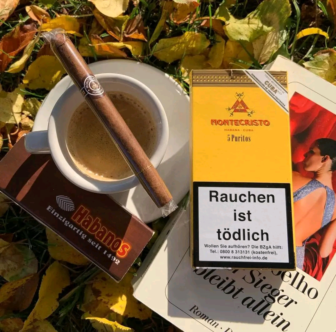 Montecristo puritos(คิวบา)5มวน