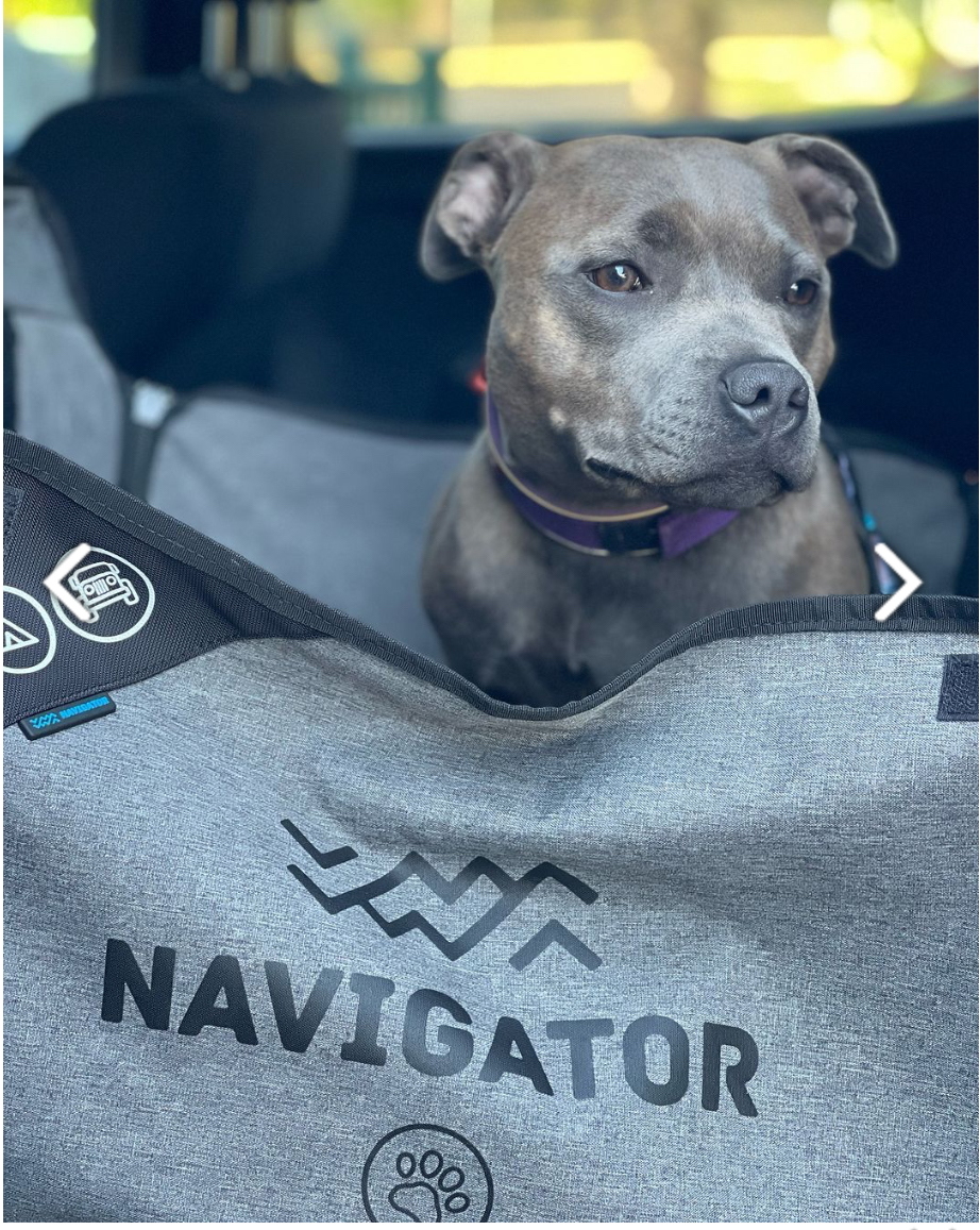 Navigator Dog Seat Buddy เบาะรองนั่งบนรถสำหรับสัตว์เลี้ยง