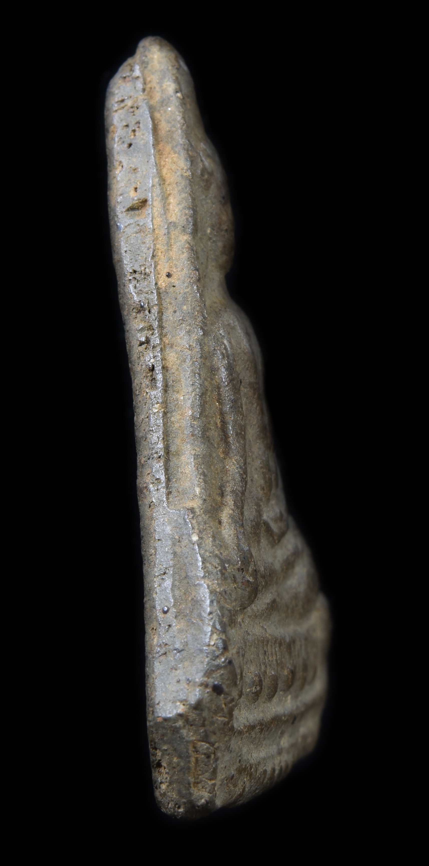 พระนางเสน่ห์จันทร์ เนื้อดิน