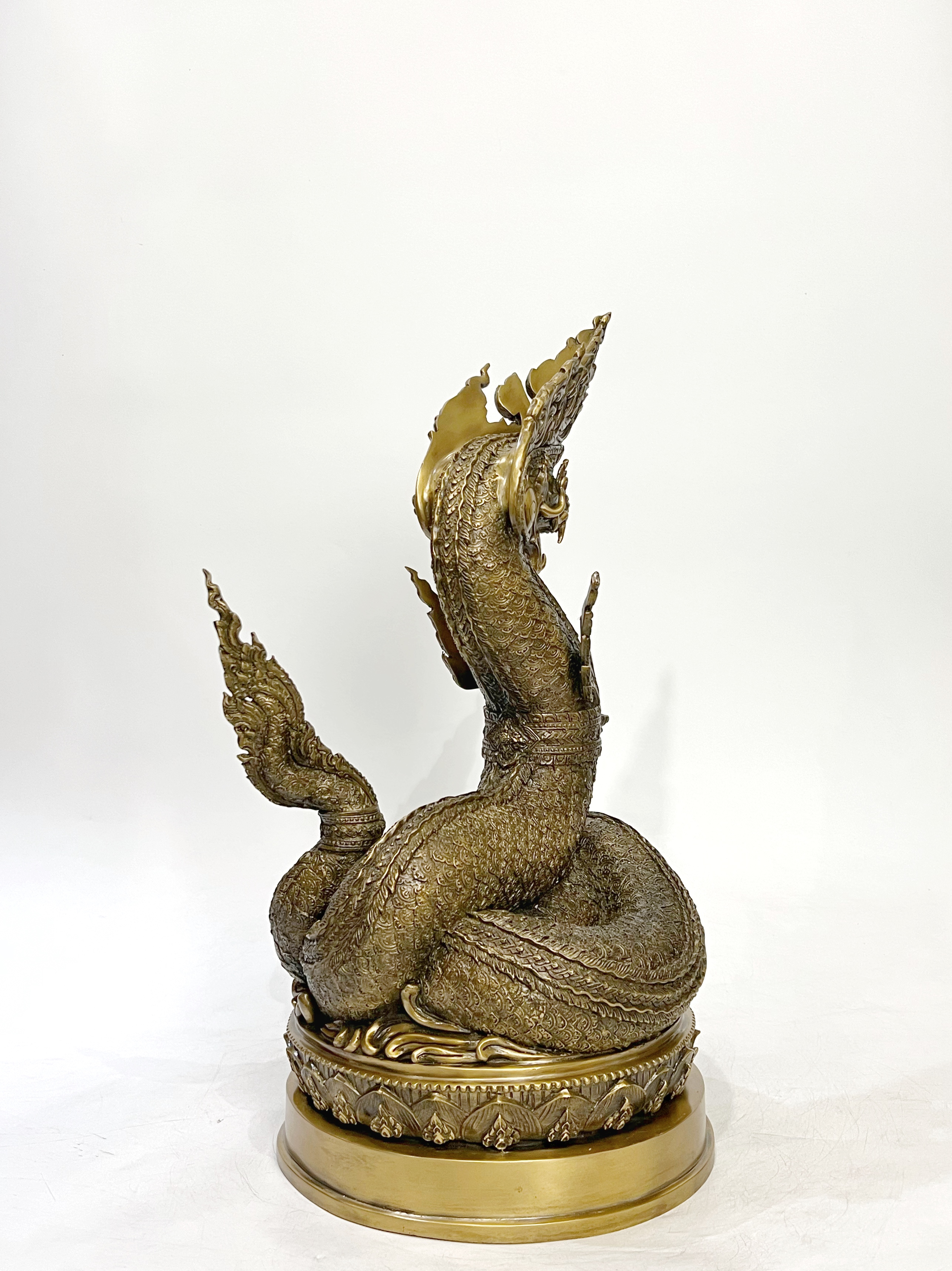 พญานาคราชทรัพย์อนันต์ พญานาค 1 เศียร