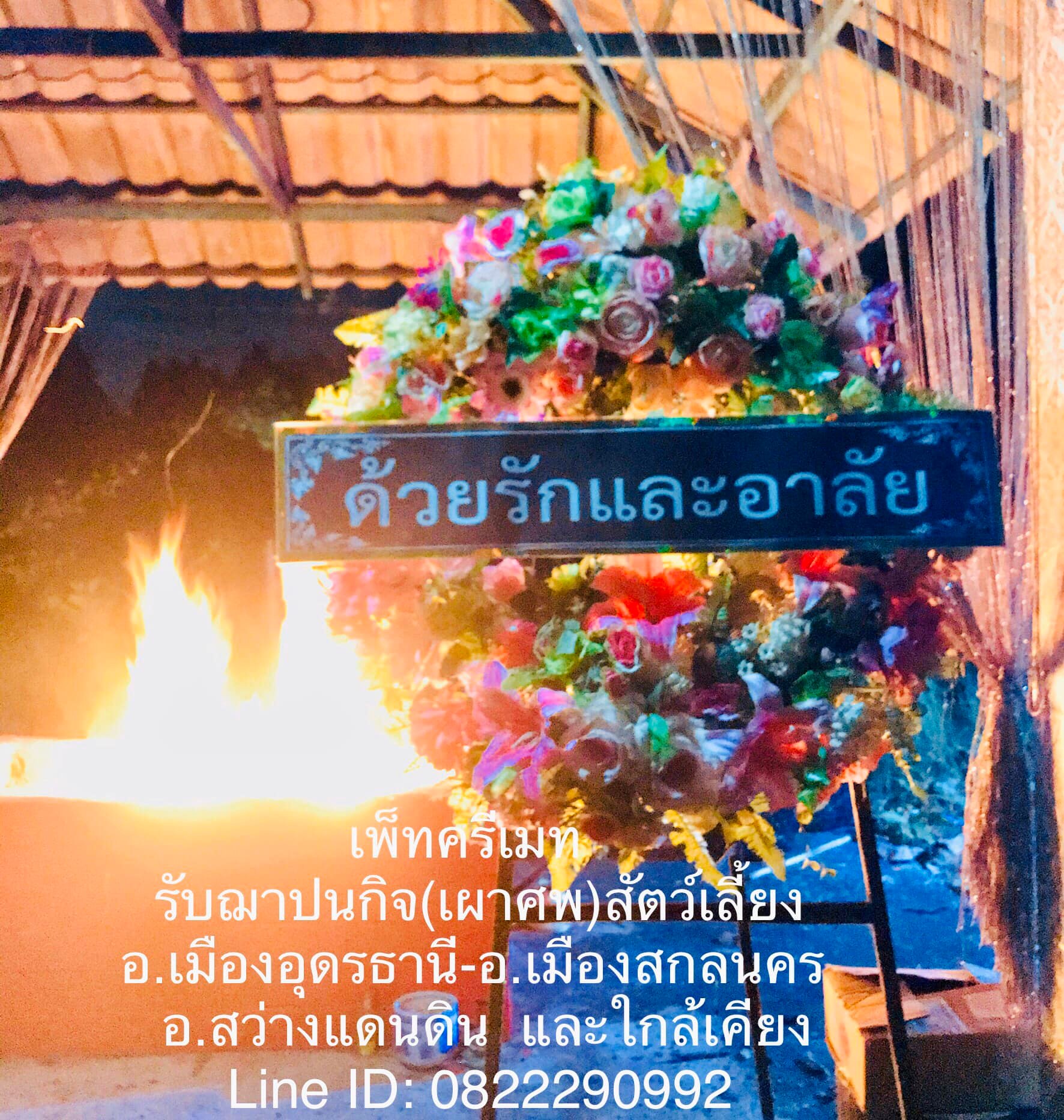 ฌาปนกิจสัตว์เลี้ยง อุดรธานี Pet Cremate