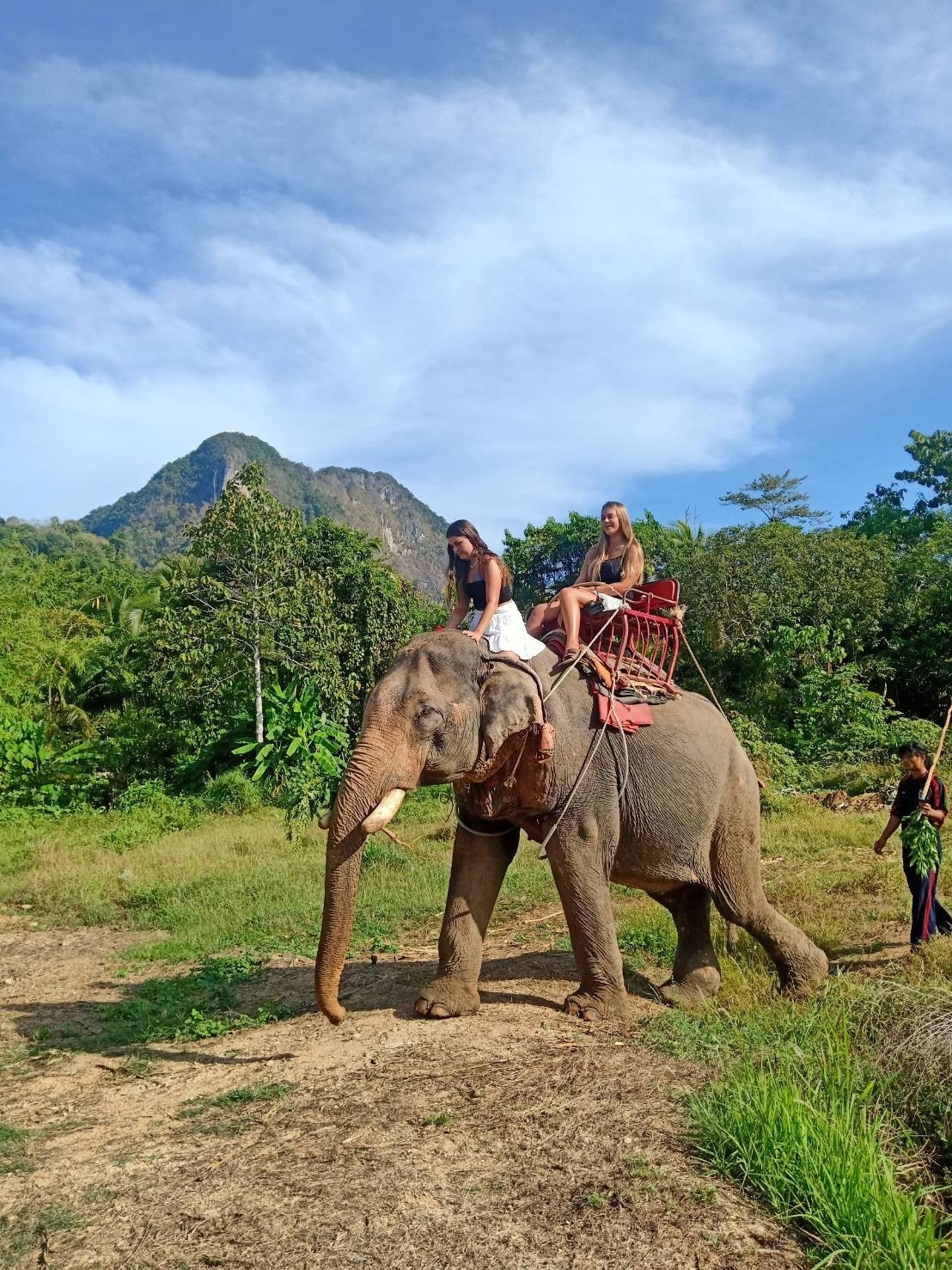 อันดับ 1 ทัวร์ขี่ช้าง กระบี่ ทัวร์นั่งช้างกระบี่