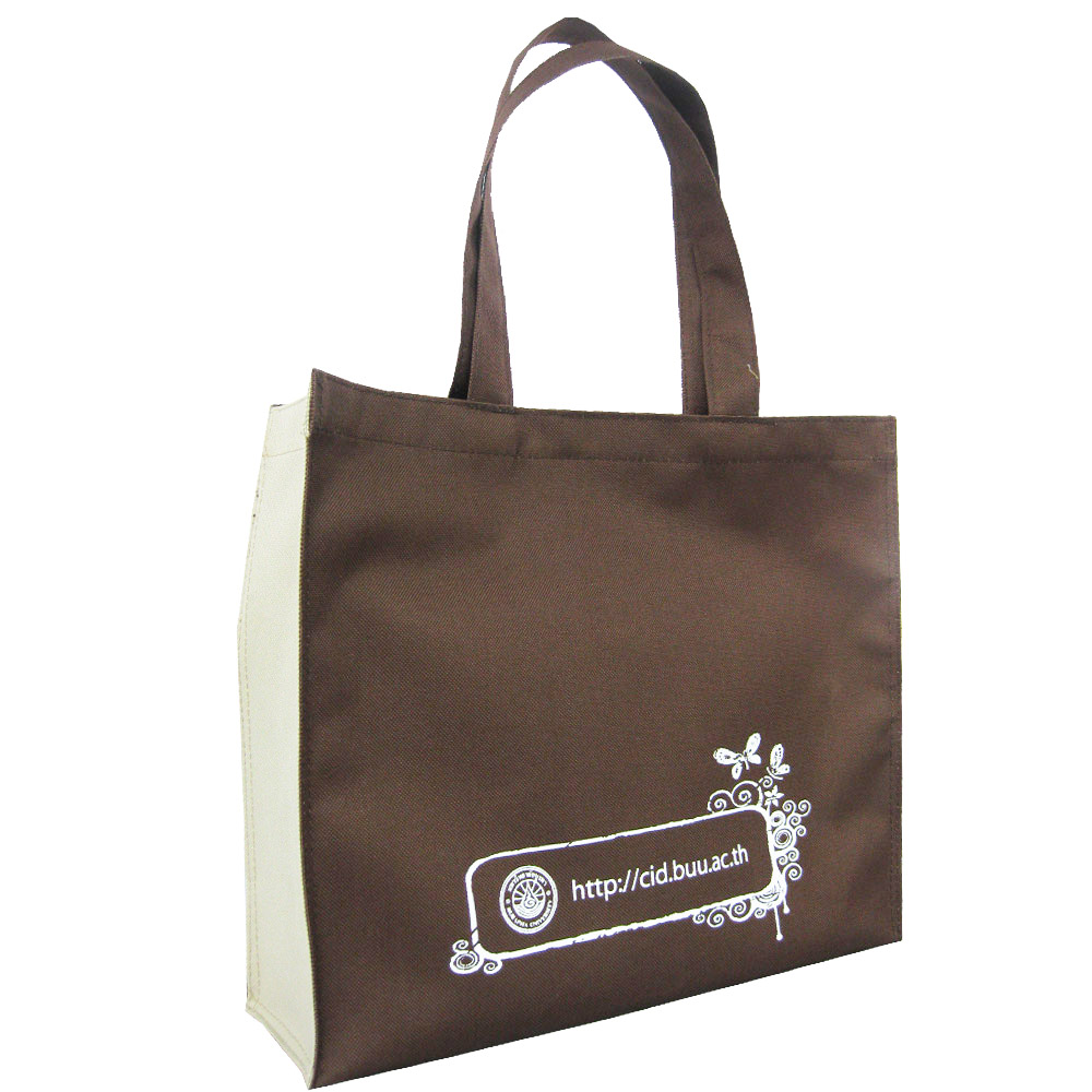 กระเป๋าเคียง