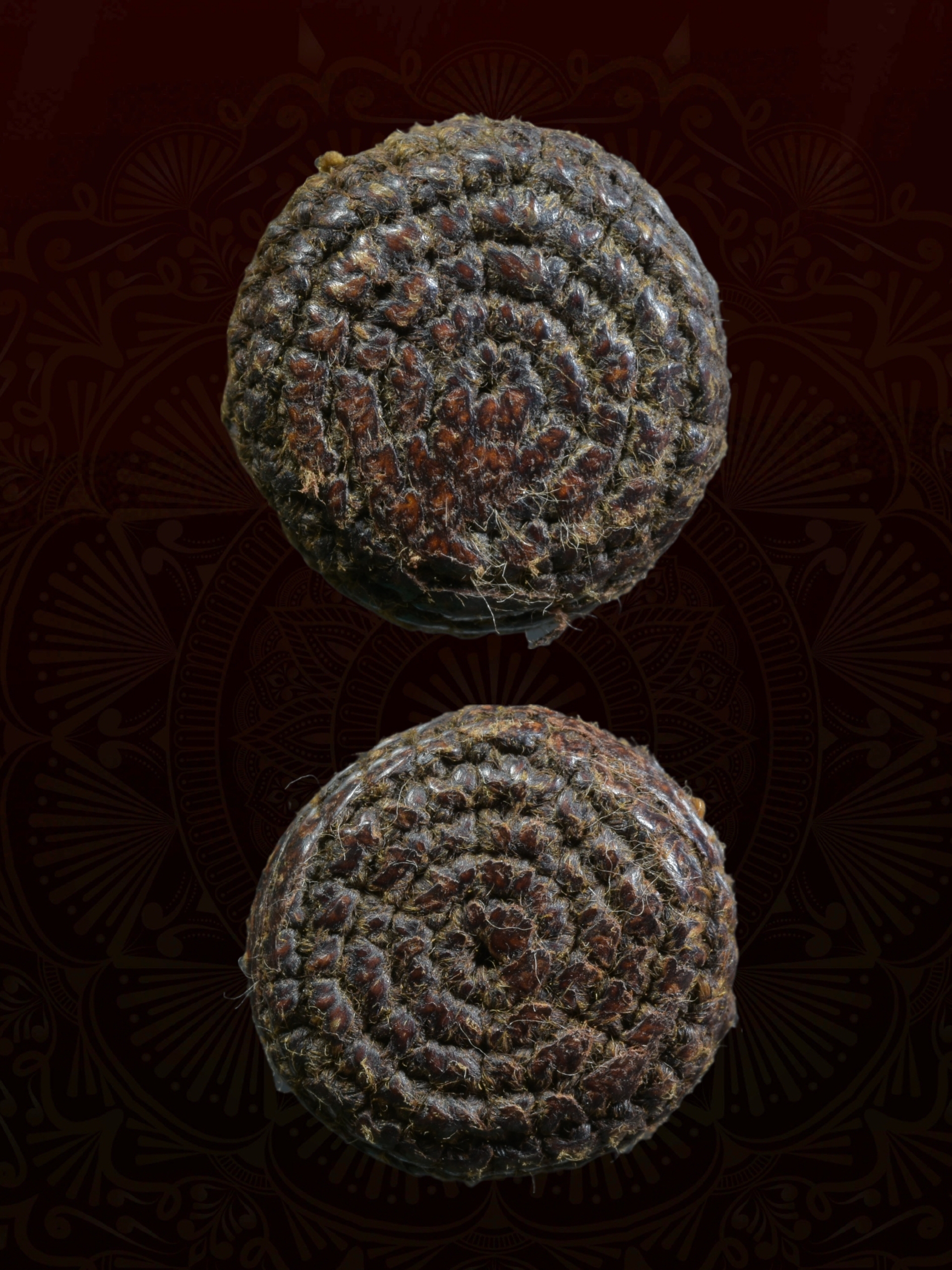 ตะกรุดใบลาน หลวงพ่อแก้ว