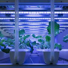 M520C MAVOLUX COMPACT เครื่องวัดความสว่าง class C per DIN 5032-7, appendix B of IEC 13032-1 and CIE 69