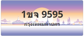 ป้ายประมูล 1ขจ 9595
