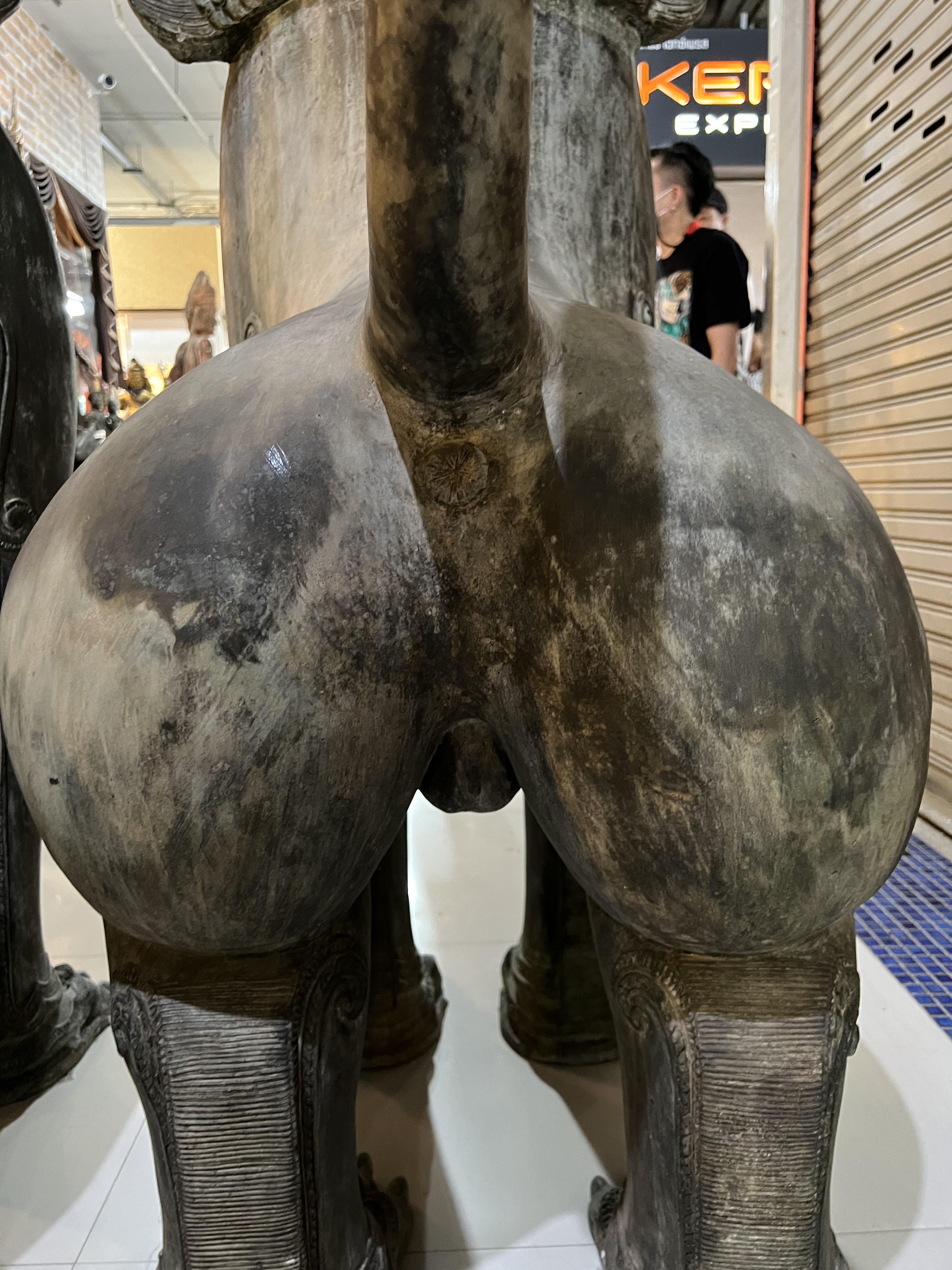 สิงโต (คู่) ขนาดใหญ่