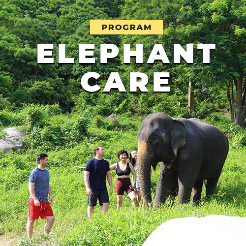 Program: Elephant Care (1.3 Hour)