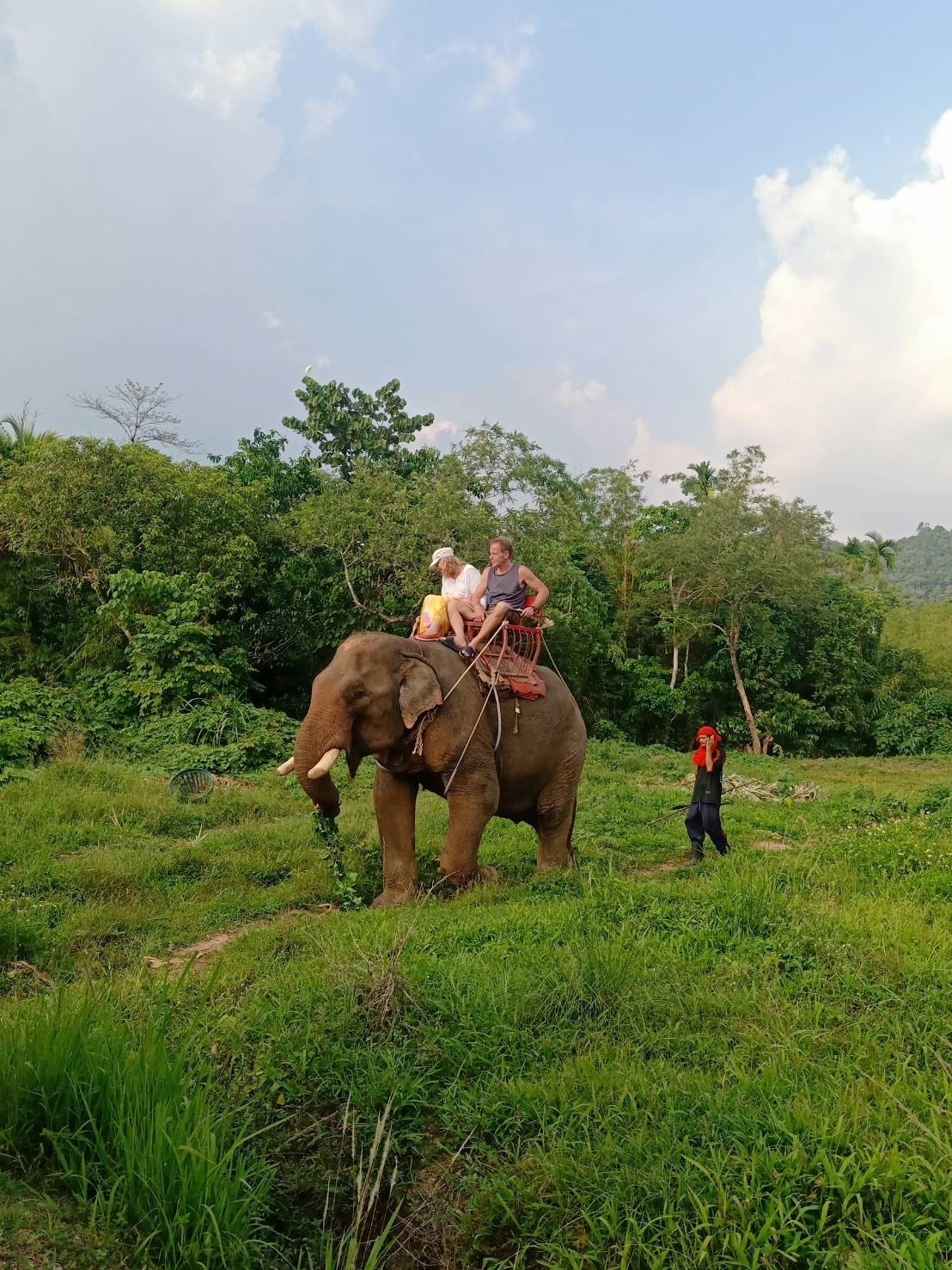 อันดับ 1 ทัวร์ขี่ช้าง กระบี่ ทัวร์นั่งช้างกระบี่