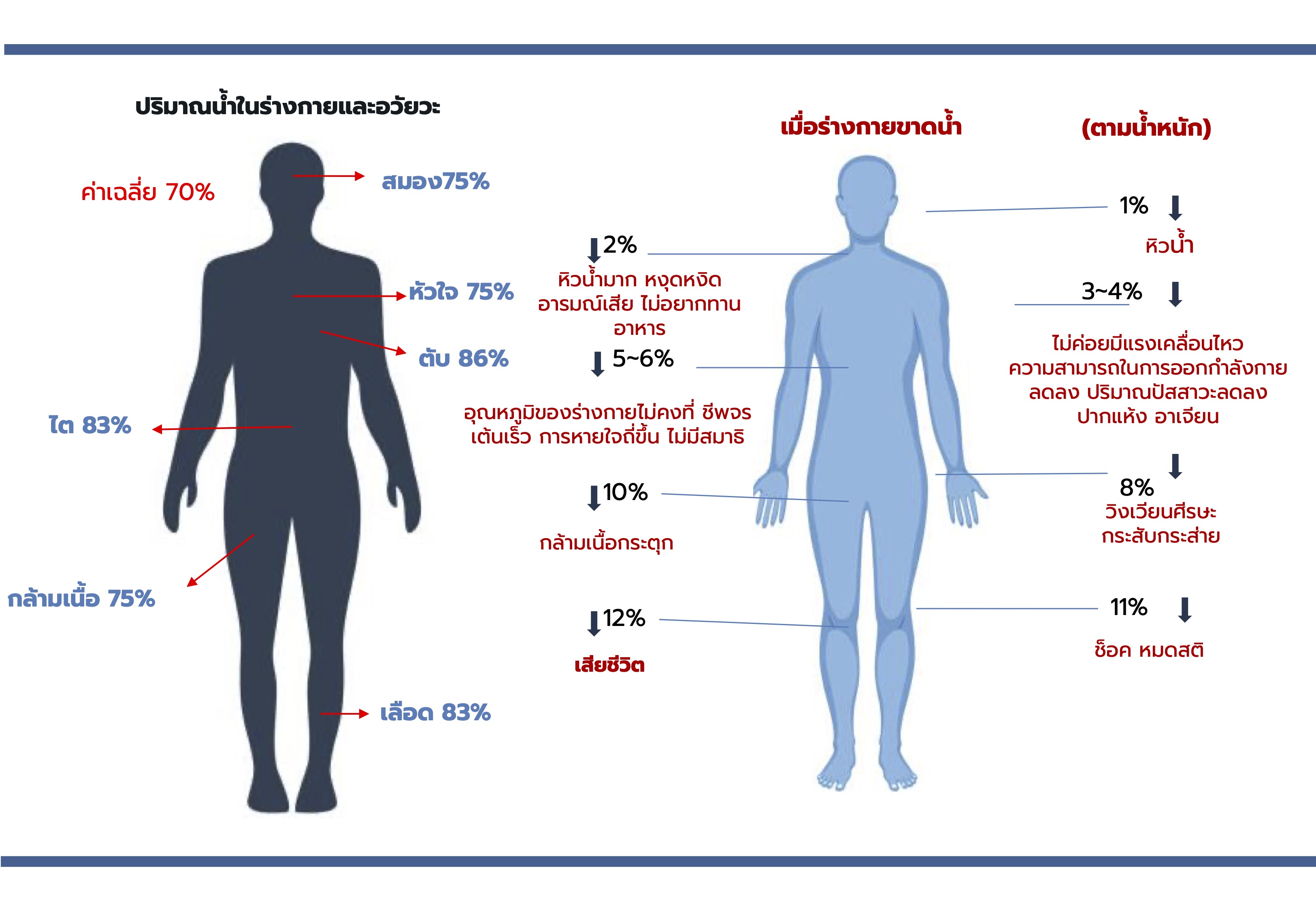 Alkaline Healing Water (EOS)-เครื่องกรองน้ำอัลคาไลน์ ไฮโดรเจน