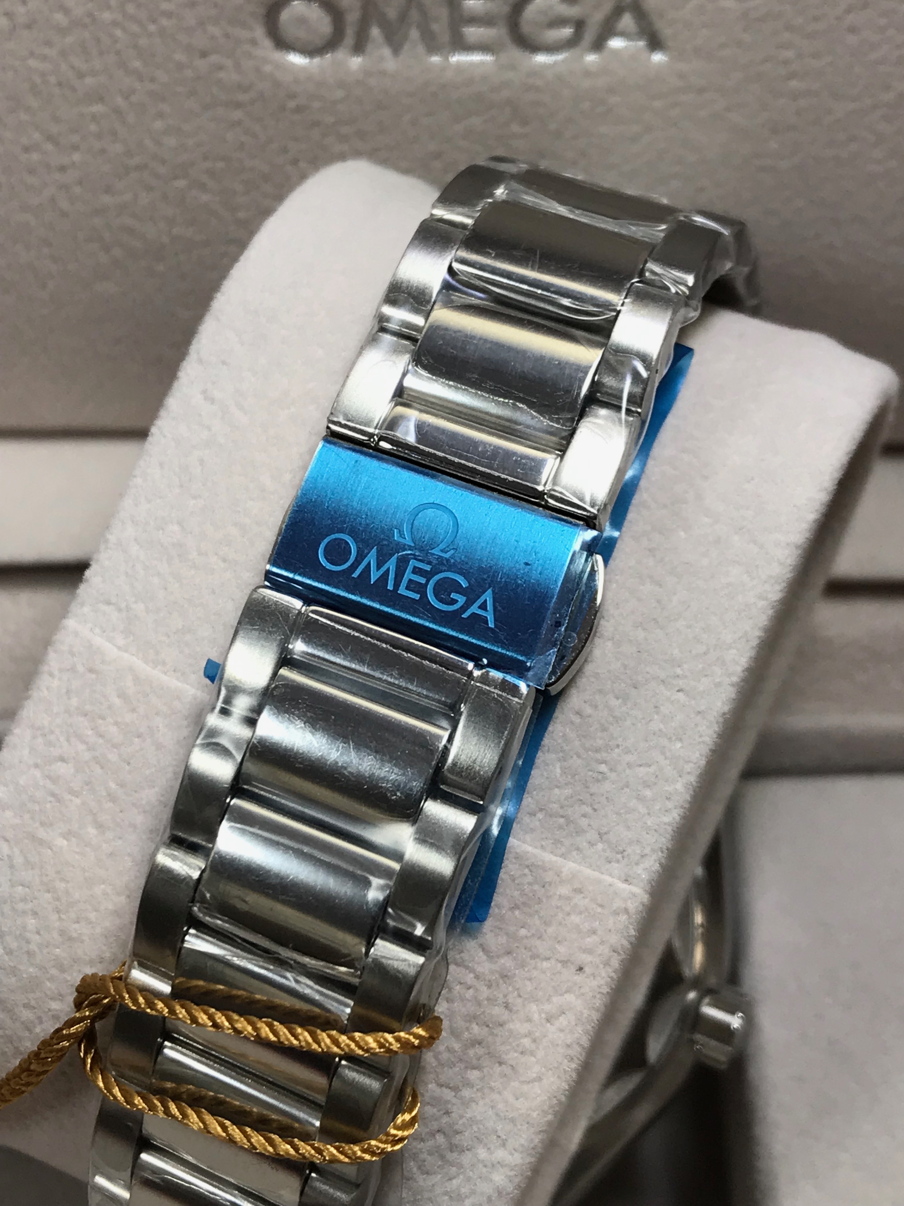 OMEGA Seamaster Aqua terra