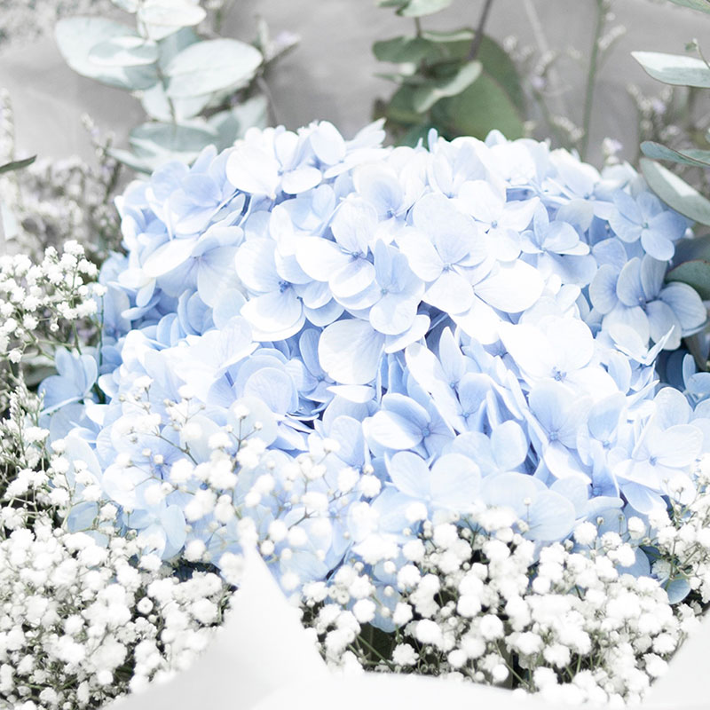 สินค้าตัวอย่าง E