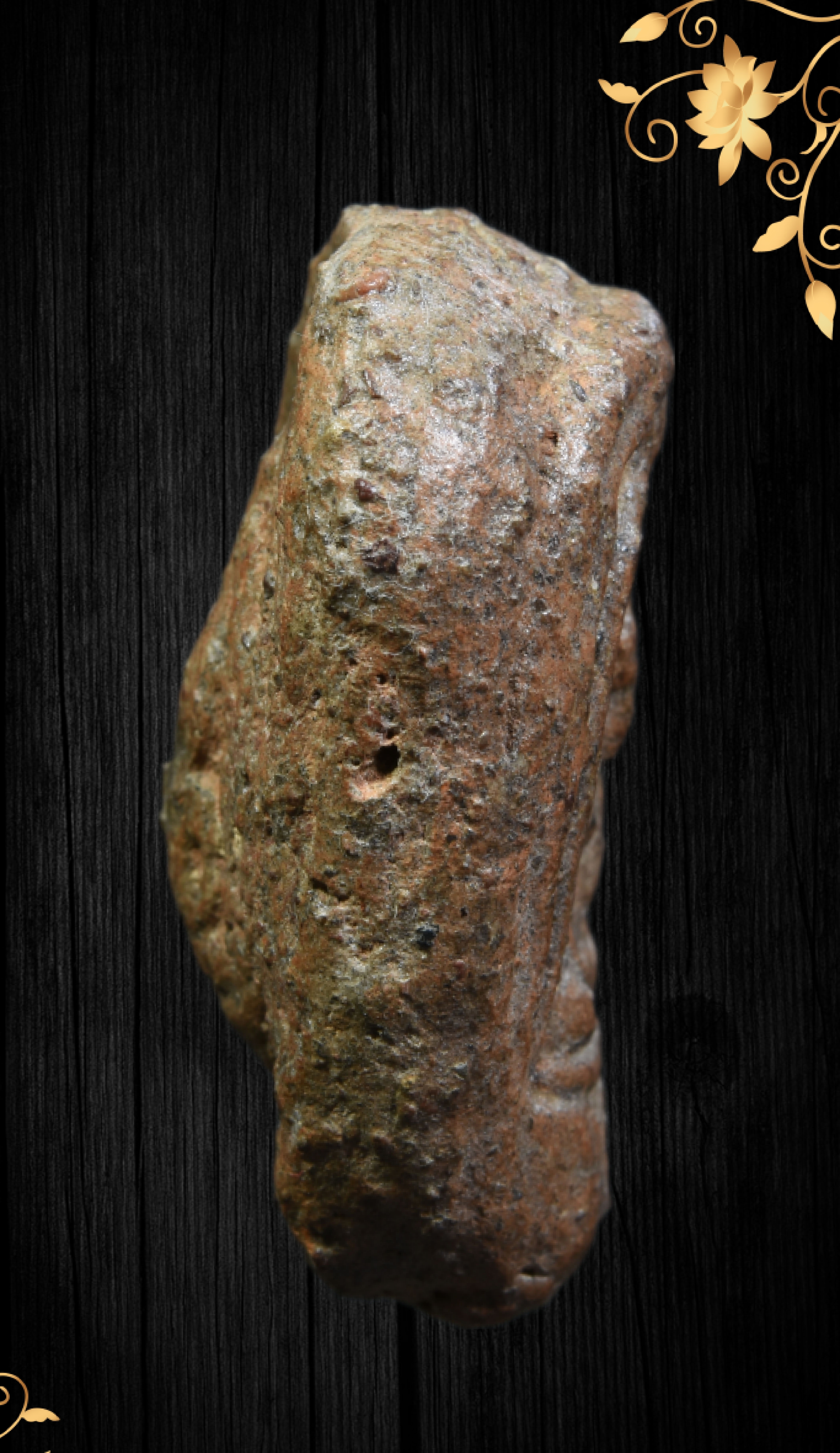 พระจุฬามณี หน้าฤาษี หลังนาง