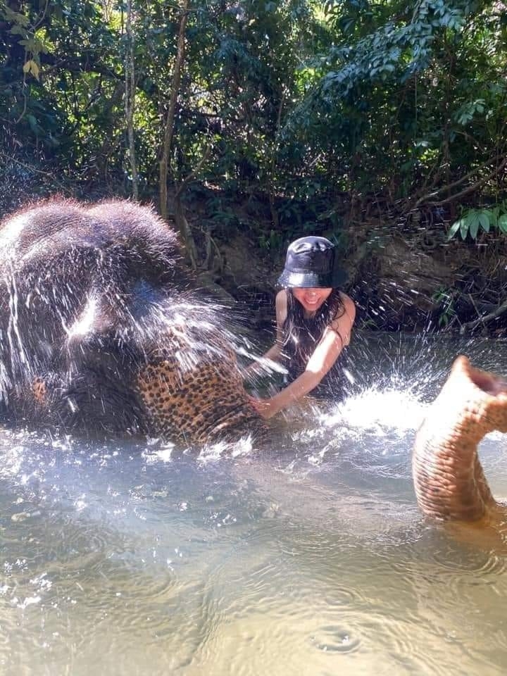 อันดับ 1 ทัวร์ขี่ช้าง กระบี่ ทัวร์นั่งช้างกระบี่