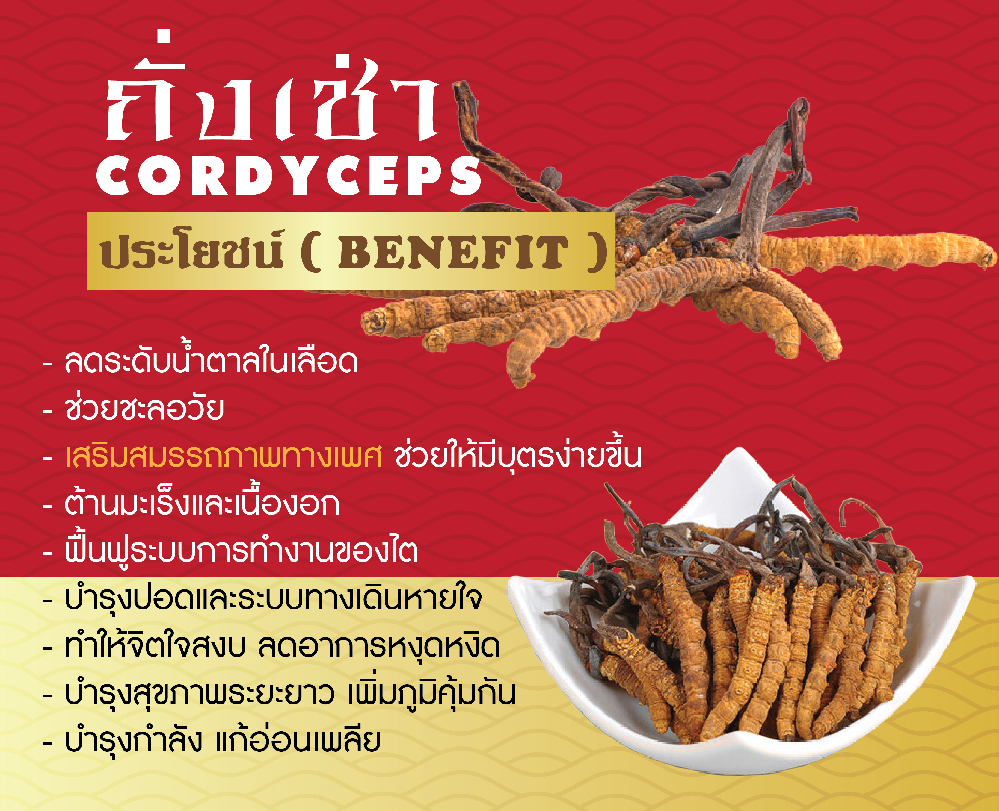 ขายถังเช่า