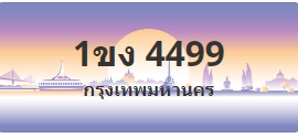 ป้ายประมูล 1ขง 4499