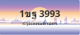 ป้ายประมูล 1ขฐ 3993