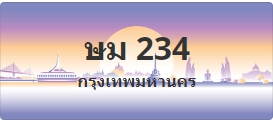 ป้ายประมูล ษม 234