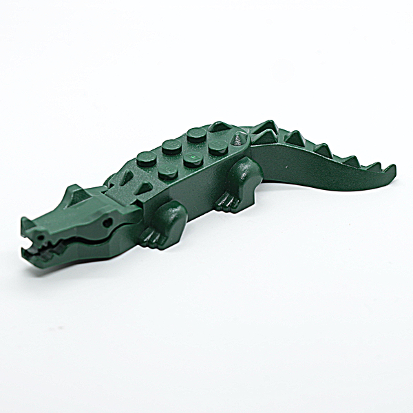 Crocodile with 8 Teeth