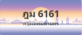 ป้ายประมูล ฎม 6161
