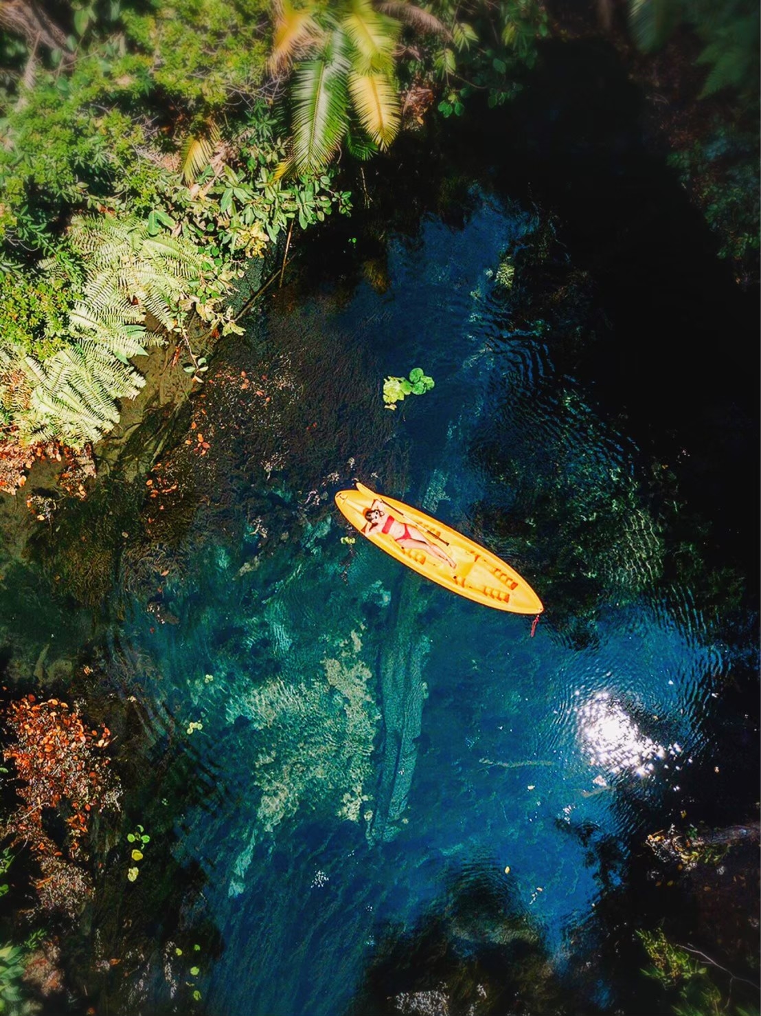 อันดับ 1 เที่ยวกระบี่ คลองหรูด คลองน้ำใส พายเรือคายัค ครึ่งวัน หนองทะเล อ่าวนาง กระบี่