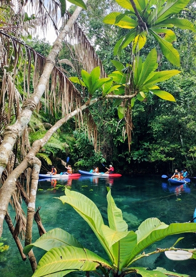 อันดับ 1 เที่ยวกระบี่ พายเรือคายัค คลองน้ำใส ขับ ATV เต็มวัน