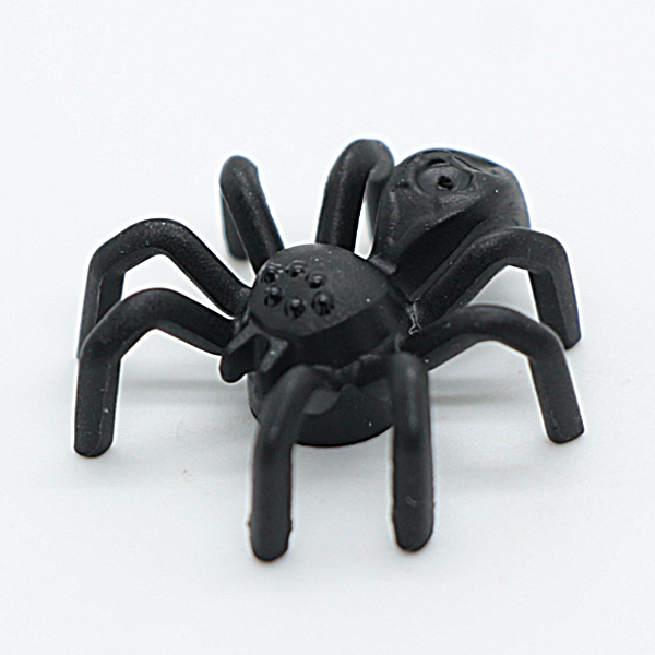 Spider with Elongated Abdomen