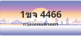 ป้ายประมูล 1ขจ 4466