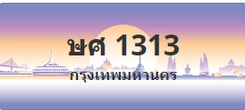 ป้ายประมูล ษศ 1313