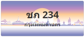 ป้ายประมูล ชภ 234