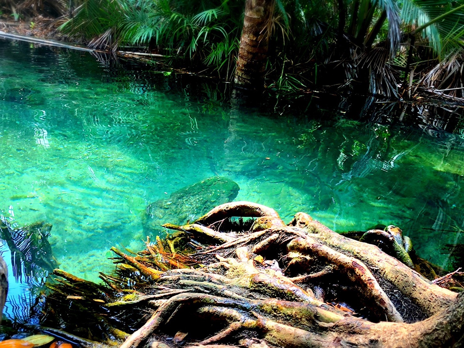 อันดับ 1 เที่ยวกระบี่ คลองหรูด คลองน้ำใส พายเรือคายัค ครึ่งวัน หนองทะเล อ่าวนาง กระบี่