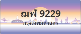 ป้ายประมูล ฌฬ 9229