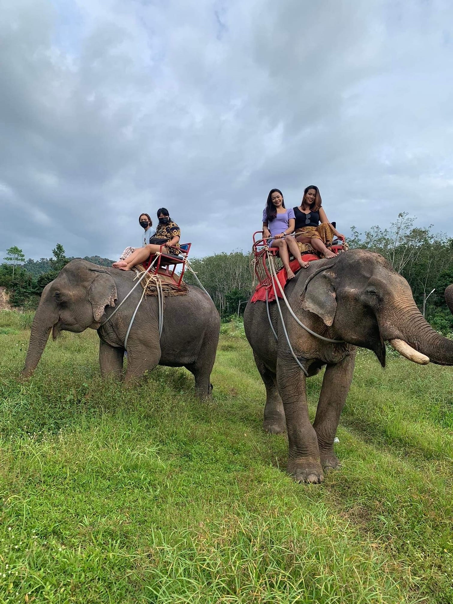 อันดับ 1 ทัวร์ขี่ช้าง กระบี่ ทัวร์นั่งช้างกระบี่
