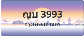 ป้ายประมูล ญบ 3993