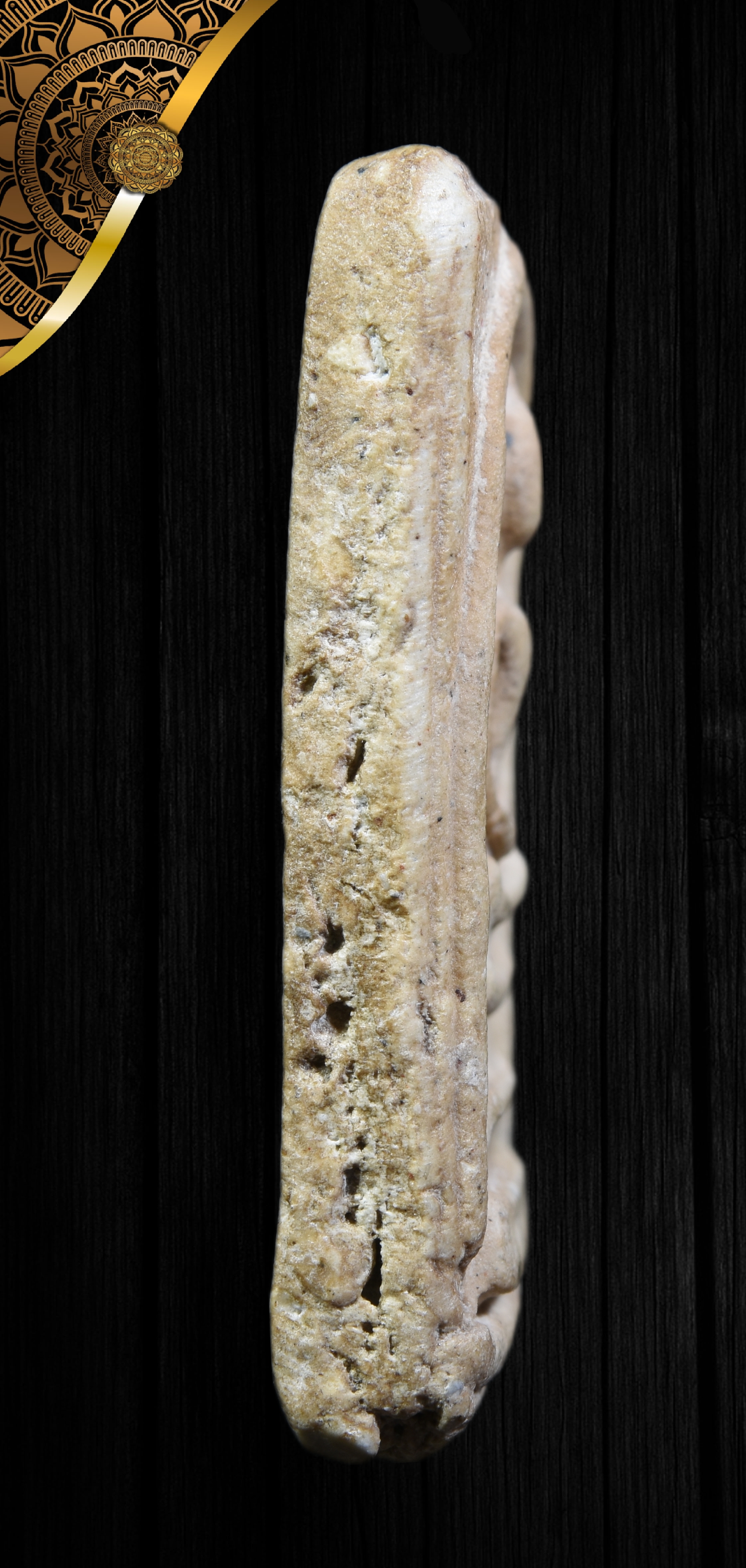 พระสมเด็จ พิมพ์พระประธาน