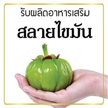 รับผลิตส้มแขก