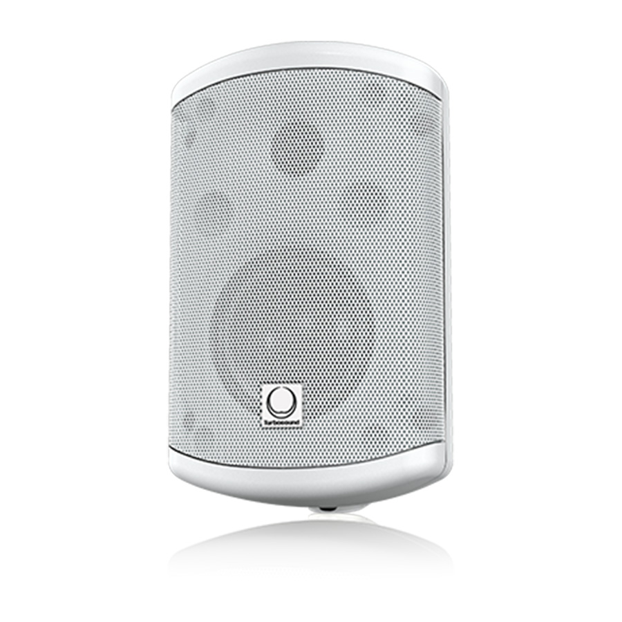 Turbosound TCI32-T-WH