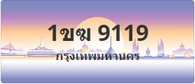 ป้ายประมูล 1ขฆ 9119