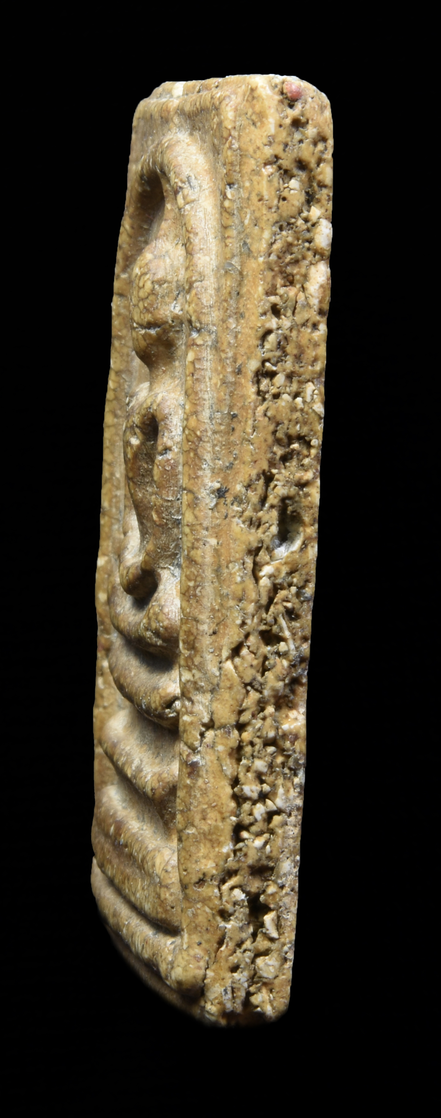 พระสมเด็จพิมพ์พระประธาน